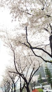 20170408_102333-min (1)