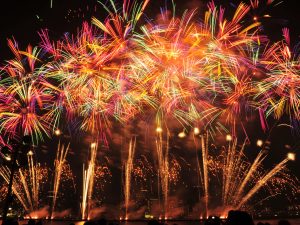 m000110_k00024996_1024-768