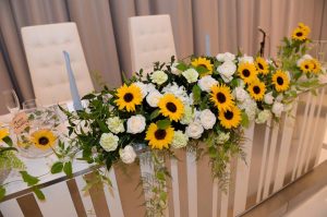 11210499_807677815994070_29661306535671390_n