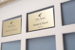 21557591_1857176157642407_4689895284055742817_n