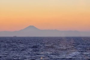 22221567_2047362068843347_7921982443578093443_n