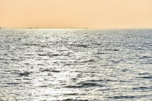 23668810_2066448430268044_296060622215811730_o