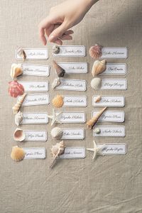 13267826_282568712087316_8177890301613180992_n