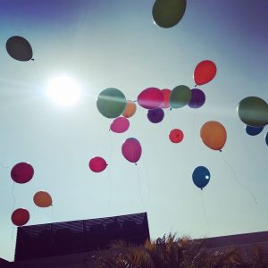 27750765_2032513006775387_2546976934013932918_n