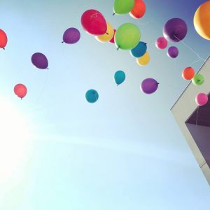 27973833_2032513050108716_1395107601513512578_n