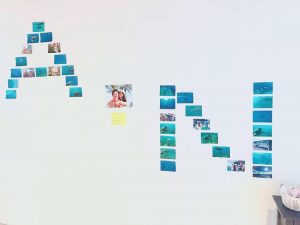 28167244_2043333609026660_5394188579212216928_n