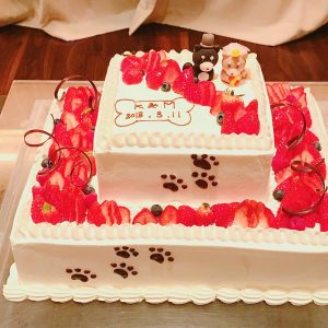 29261579_2070024373024250_371790308102609326_n