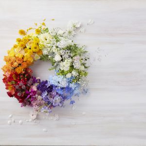 1706127_dearsbrain4567