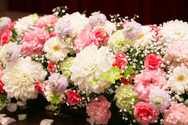 s_ルーチェピンクメインアップ