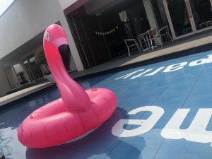 ﾊﾞｰﾍﾞｷｭｰ10