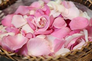 47dd647ce48d440e33f48aadf40b20fb