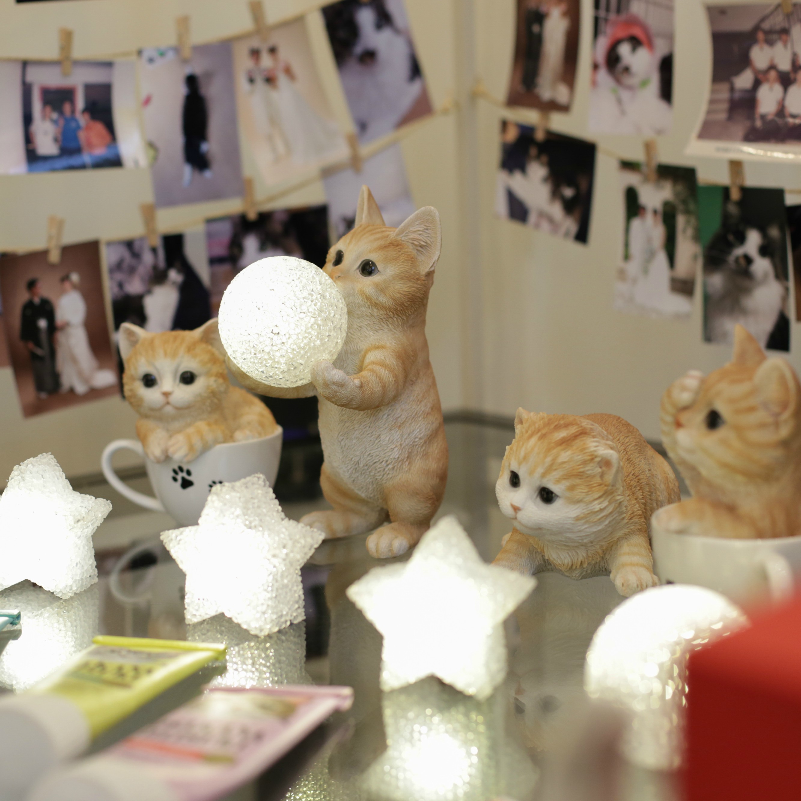 ほぼ ねこウエディング 小山の結婚式場 エヴァウイン小山プレミアムスィーツ 栃木 公式