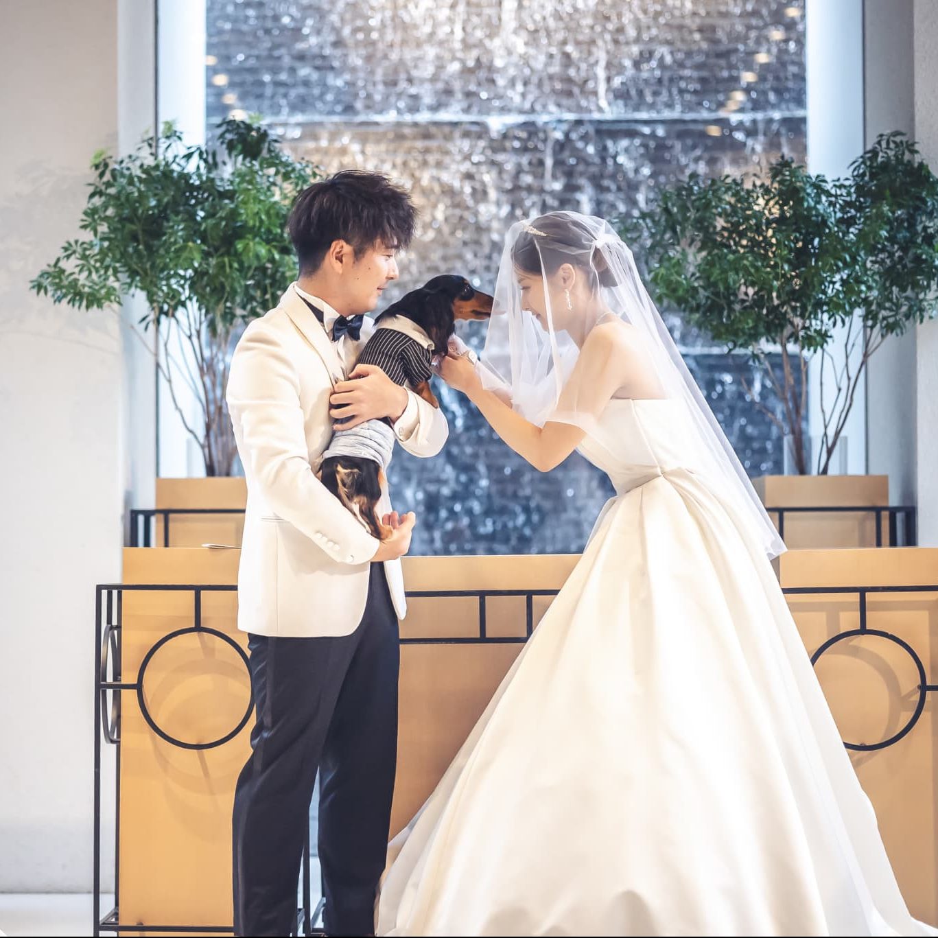 エッグア－ト　「晴れて結婚式」 エッグア－ト 「晴れて結婚式」 エッグア－ト 「晴れて結婚式